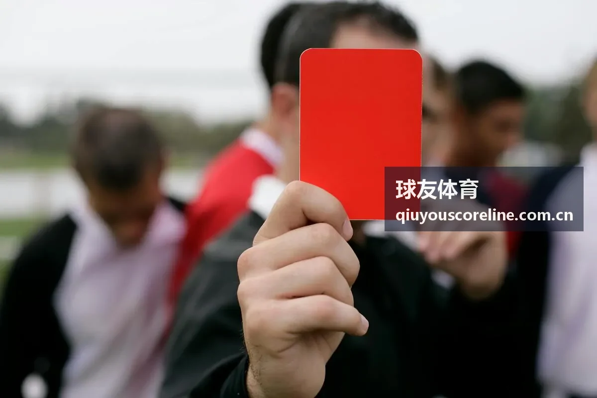 球友体育篮球数据洞察分析